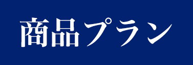 商品モデル